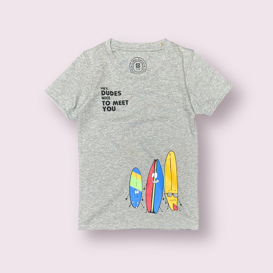 Boy T Shirt (0012)Clr-Gry-Fabric Blended Cotton