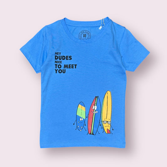 Boy T Shirt (0010)Clr-Sky Blue-Fabric Blended Cotton