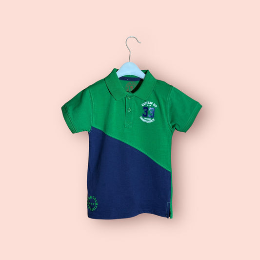 Boy Polo (00317)Clr-Green And Navy Blue-Fabric Blended polo